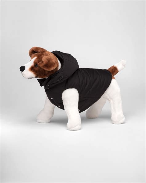 Prada coat dog 